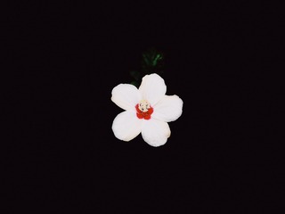 FC8017CF-25C6-47DB-A8D3-C4CA6CD2D788/L0/001