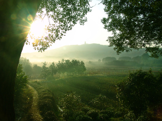1初冬的阳光续2）DSC00385-