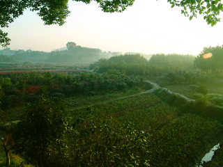 2初冬的寂静续2）DSC00356---