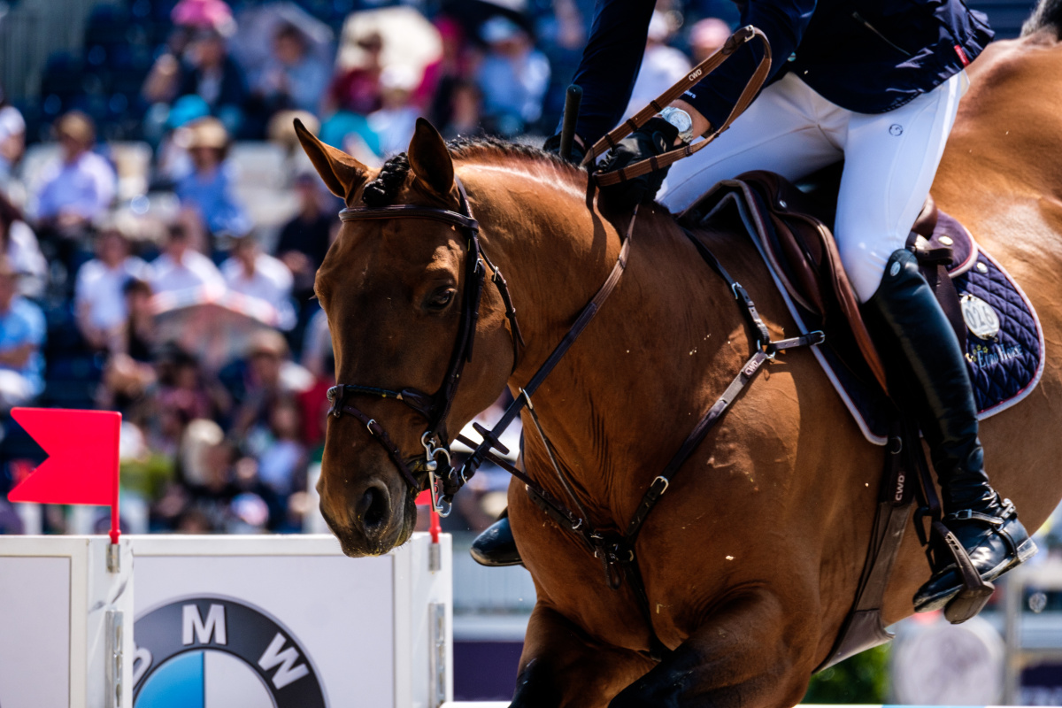 2017浪琴马术摄影大赛