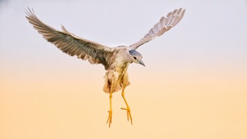 5466789