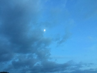 790F114E-4B87-4199-B1D4-C98E8D513B08/L0/001