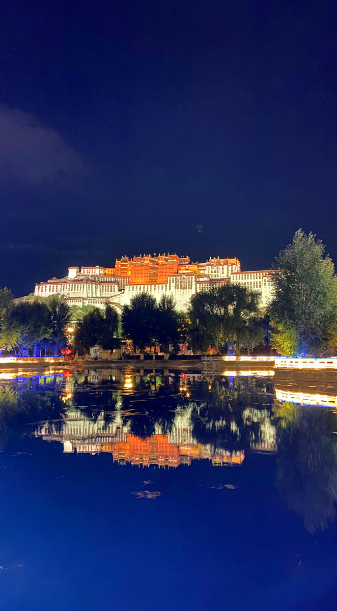 布达拉宫夜景