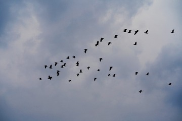 1673480