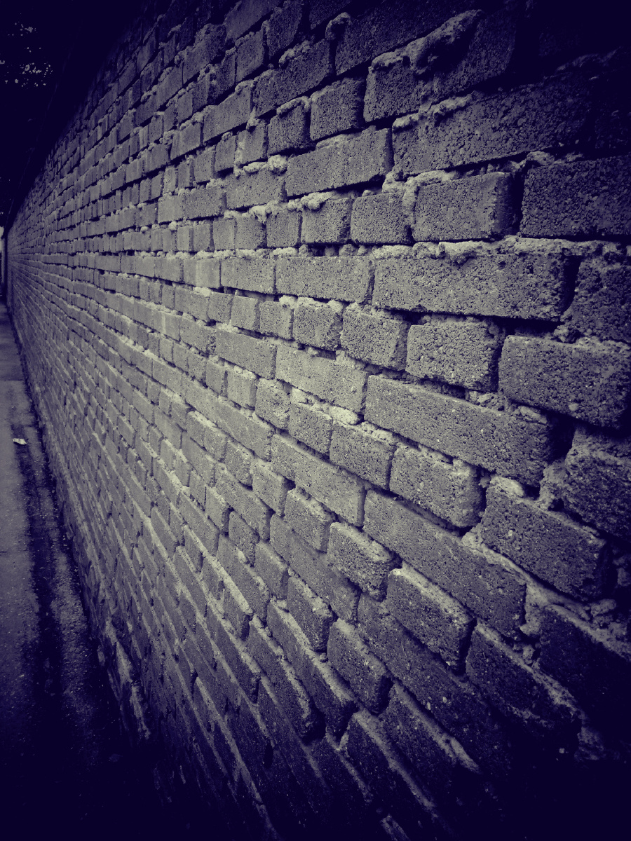 沿途路过的那一面瓦砖墙