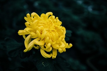 3696AD7B-B61B-45E7-8803-05A8567DFFC1/L0/001