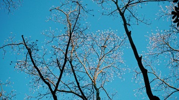B8A226B6-0220-469E-B510-562EA05537BC/L0/001