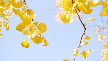 7E20E66F-09A4-40E8-A299-988877AD3C05/L0/001