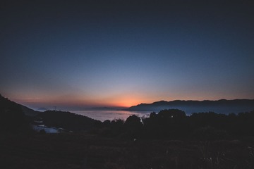 _DDD9336