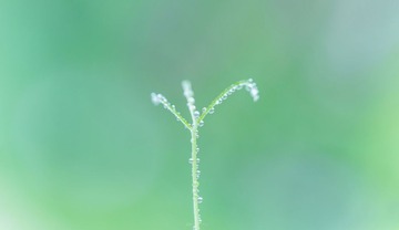 746768