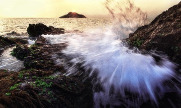 _ZTA8107-去岛