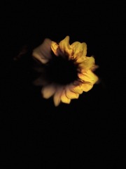 D388DF70-E786-4E09-95A5-DCB08F4CBA6C/L0/001