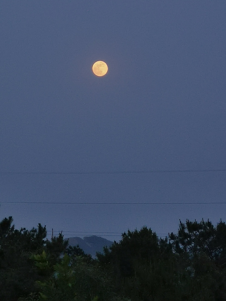 每当太阳渐渐的落下后,月亮也就悄悄的出来了.
