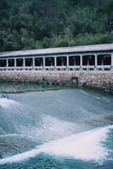 170088