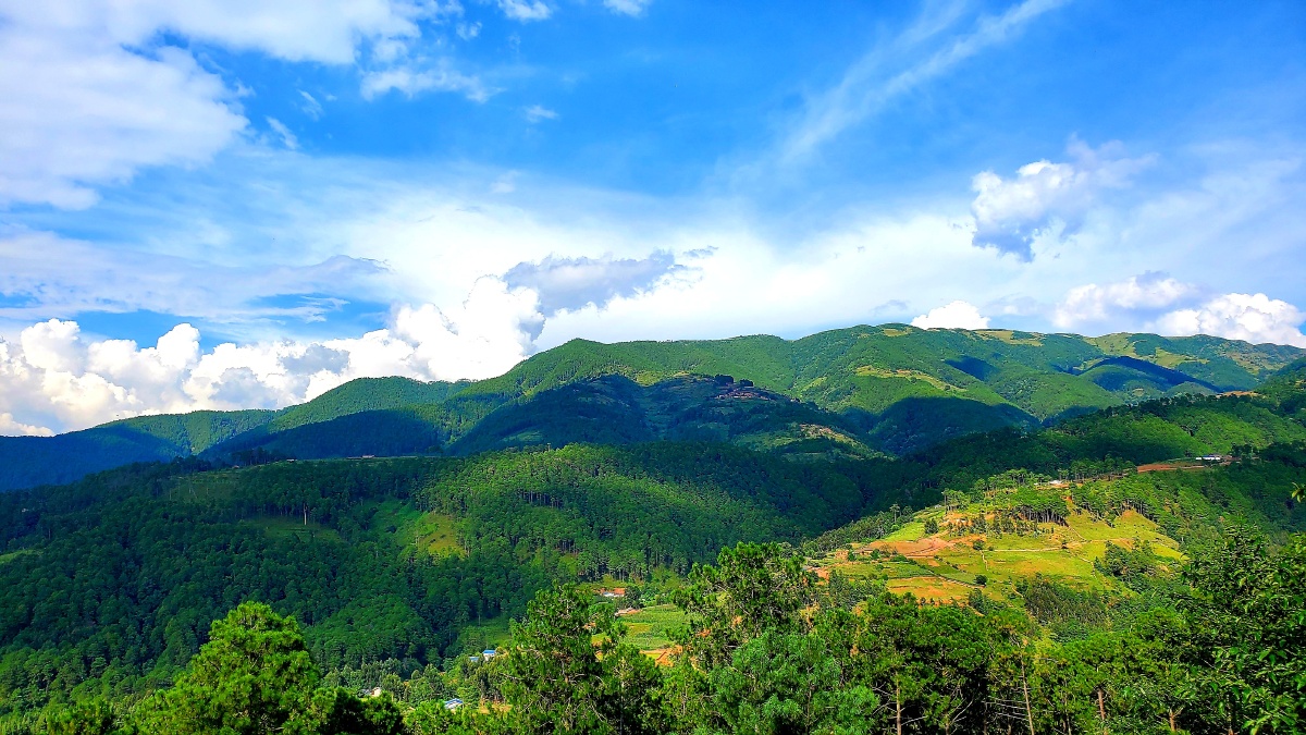 金山银山不如绿水青山