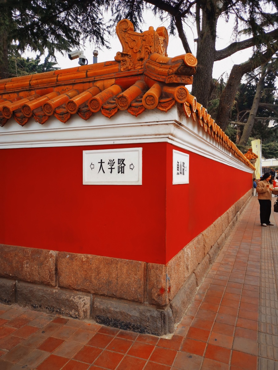 进不去青岛大学就去了大学路顺路去了中山公园樱花还没有开就看了梅花