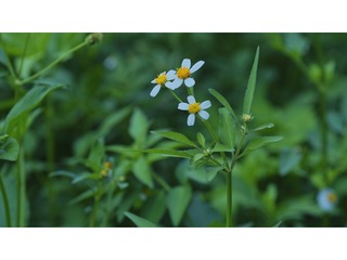 EDFFB642-3F8D-4600-9CF3-AAF5B5D67CD8/L0/001