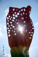IMGP4430m.jpg