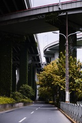 533004