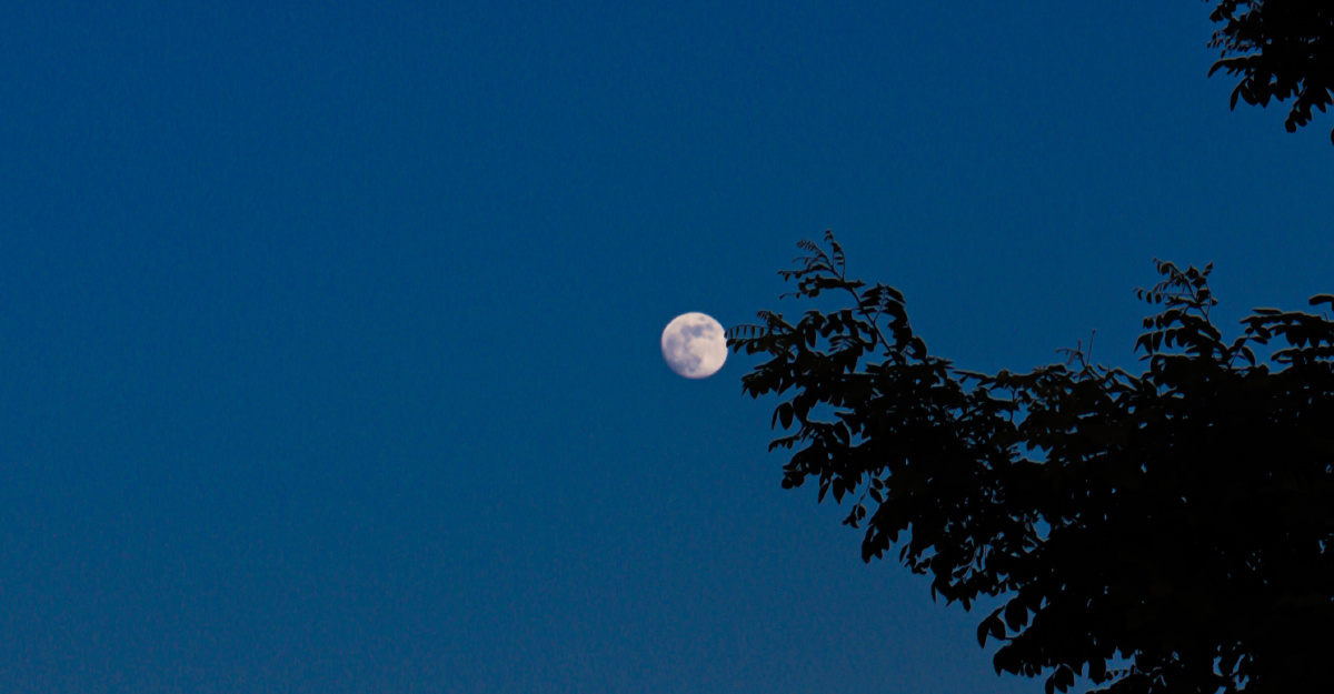 大海月亮夏天的傍晚