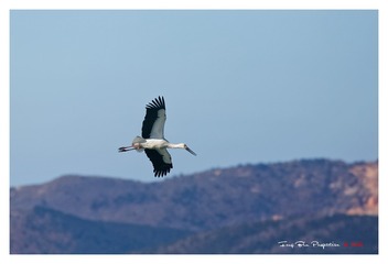 O54A0820_DxO