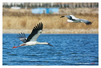 O54A5299_DxO