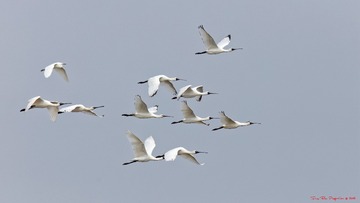 181A6538_DxO