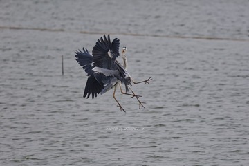 3U1A8004_DxO