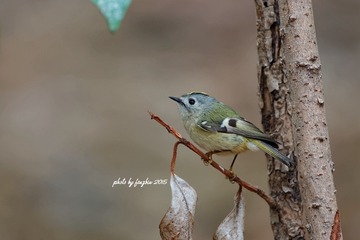 3U1A0811_DxO
