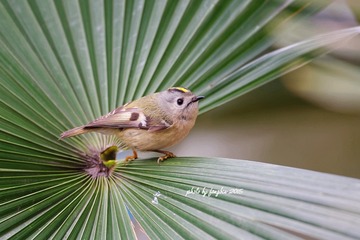 3U1A1522_DxO