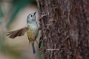 3U1A1744_DxO
