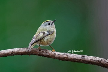 3U1A1923_DxO