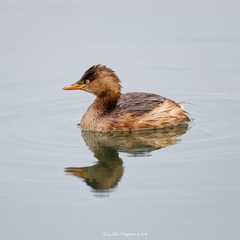 BG9R5748_DxO