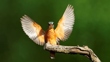 IMG_1213_DxO