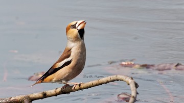 IMG_4945_DxO