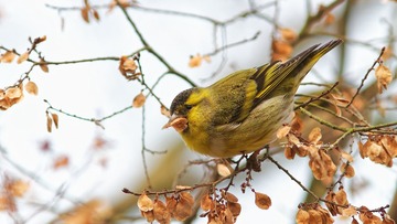 IMG_4041_DxO