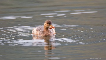 BG9R5756_DxO
