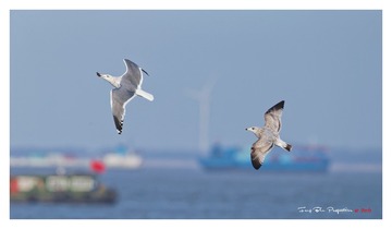 A78Q9663_DxO