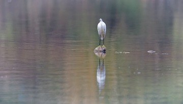 BG9R6219_DxO