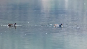BG9R6308_DxO