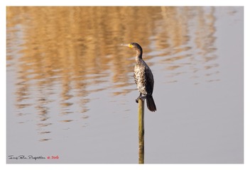 3U1A8298_DxO