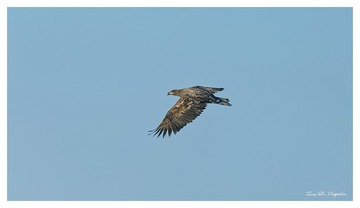 O54A5559_DxO