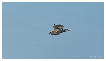 O54A5561_DxO