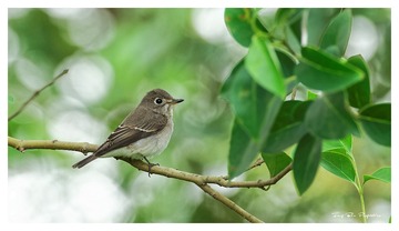 IMG_2127_DxO