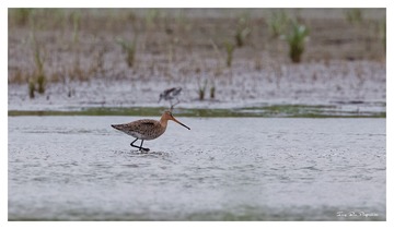 181A0650_DxO