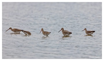 181A6836_DxO