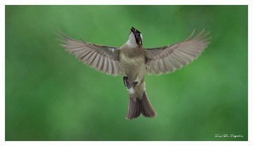 IMG_4125_DxO