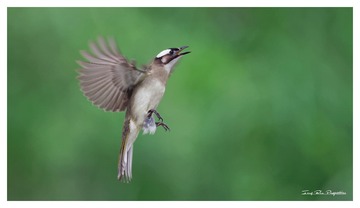 IMG_4127_DxO