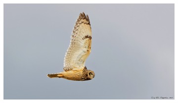 181A9479_DxO