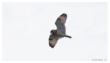 181A9494_DxO